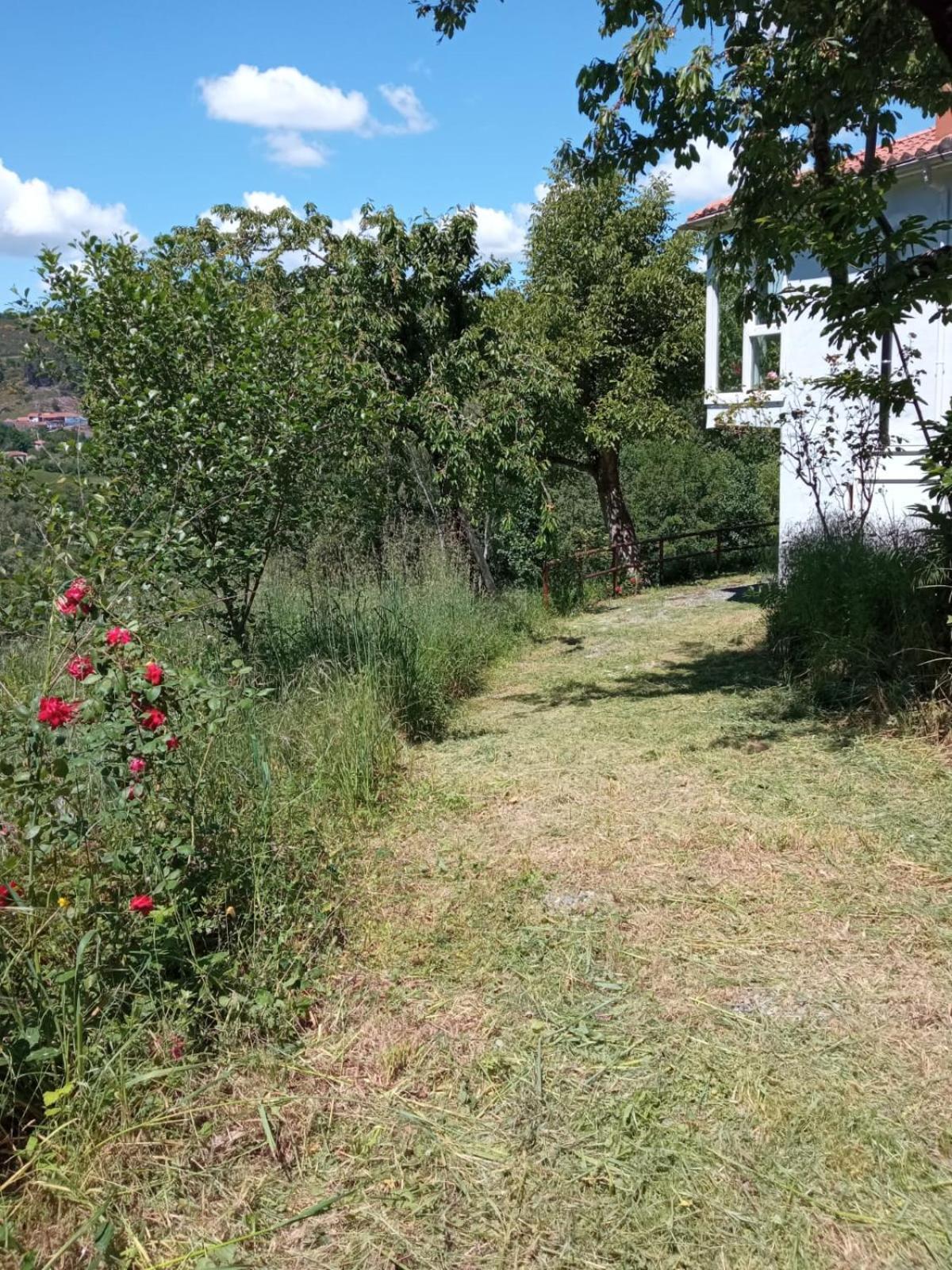 O Salgueiral Villa Castro Caldelas Dış mekan fotoğraf